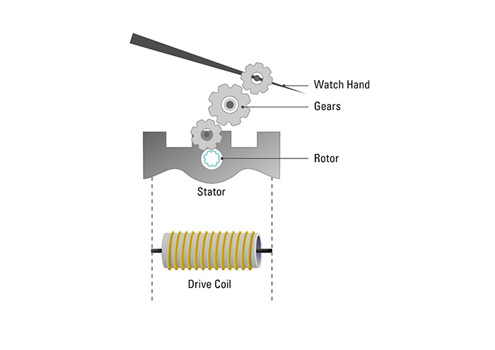 Structural drawing of a 2-wire watch motor. This is just an example, and the exact configuration can vary
